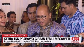 VIDEO: Ketua TKN Prabowo-Gibran Temui Megawati