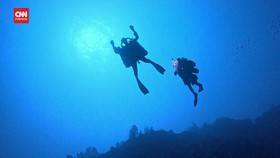 VIDEO: Pemutihan di Great Barrier Reef Capai Area Lebih Dalam