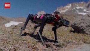 VIDEO: Robot Anjing Dilatih Untuk Berjalan di Bulan dan Mars