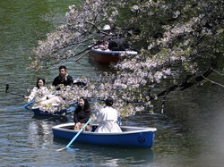Seni Meminta Maaf yang Begitu Rumit di Jepang