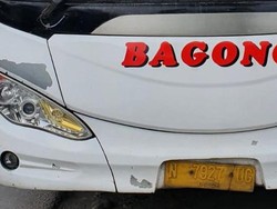 Lawan Arah dan Marah-marah, Aksi Viral Sopir Bus Bagong Berakhir Ditilang dan Diskors