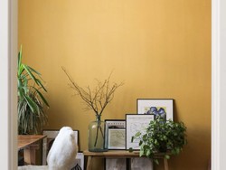 6 Pilihan Warna Cat Dinding yang Bikin Ruangan Sempit Lebih Estetik