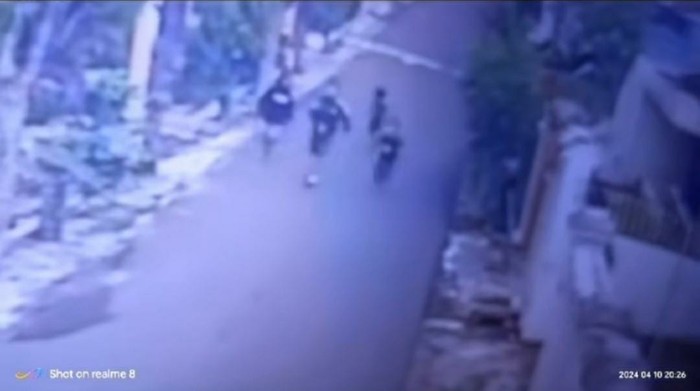 Anjing Maltese disiksa di Jember