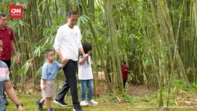 VIDEO: Libur Lebaran, Jokowi Ajak Istri, Anak-Cucu Kasih Makan Satwa