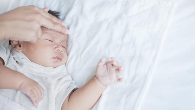 Demam berdarah pada bayi