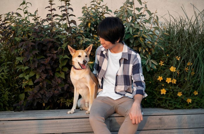 Ilustrasi anak dan hewan peliharaan