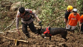 Tambang di Solok Longsor, Belasan Orang Dilaporkan Tertimbun