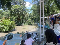 KBS Diserbu 79 Ribu Pengunjung Sepanjang Libur Lebaran