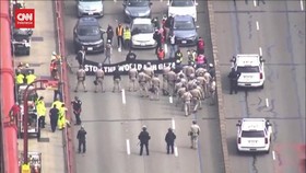 VIDEO:Massa Pro Palestina Tutup Jembatan Golden Gate dan Bandara Ohare