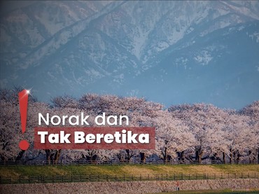 Beredar Video Wisatawan Rusak Pohon Sakura di Jepang, Orang Indonesia?