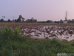 Duel Maut Paman dan Ponakan di Gowa Dipicu Rebutan Lahan Garapan