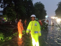 Pohon Tumbang Dekat Tanjakan Tomang Arah Jl S Parman, Lalin Padat