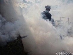Kemenkes RI Singgung Perubahan Gejala DBD, Inikah Pemicunya?