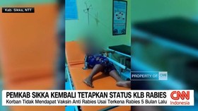 VIDEO: Pemkab Sikka Kembali Tetapkan Status Kejadian Luar Biasa Rabies