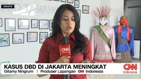 VIDEO: Update Terkini, Kasus DBD di Jakarta Meningkat