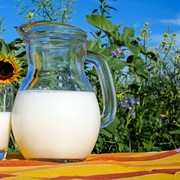 Begini Cara Menyimpan Produk Olahan Susu yang Benar agar Kualitasnya Tetap Baik dan Segar