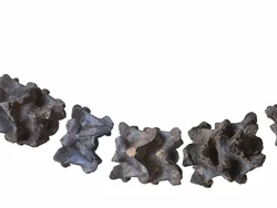 Ilmuwan Temukan Fosil Raja Ular, Ukurannya Segede T-Rex!