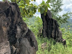 Jadi Bagian Geopark Kebumen, Desa Seboro Juga Kembangkan Wisata Budaya