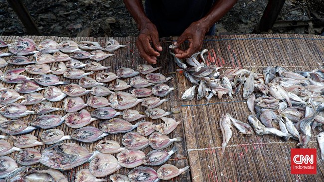 Nelayan menilai ikan petek sampah karena kerap diasinkan atau jadi pakan ternak. Ikan yang menjadi bahan baku susu ikan ini dijual Rp6.000 per kg.