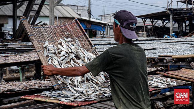 Ilustrasi menjemur ikan asin