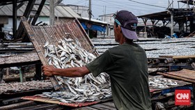 Ilustrasi menjemur ikan asin