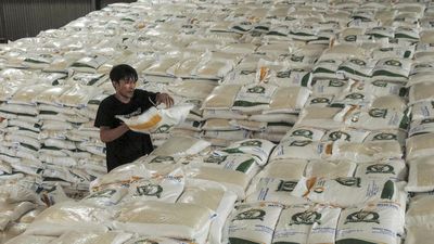 Bulog Bidik Ekspor ke Arab Saudi Lewat Beras Haji Nusantara