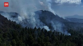 VIDEO: Penampakan Kebakaran Hutan di Meksiko, Lahap 800 Hektar Lahan