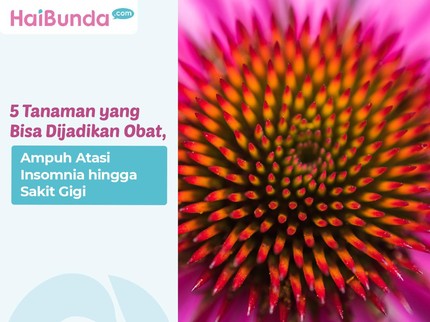 5 Tanaman yang Bisa Dijadikan Obat, Ampuh Atasi Insomnia hingga Sakit Gigi