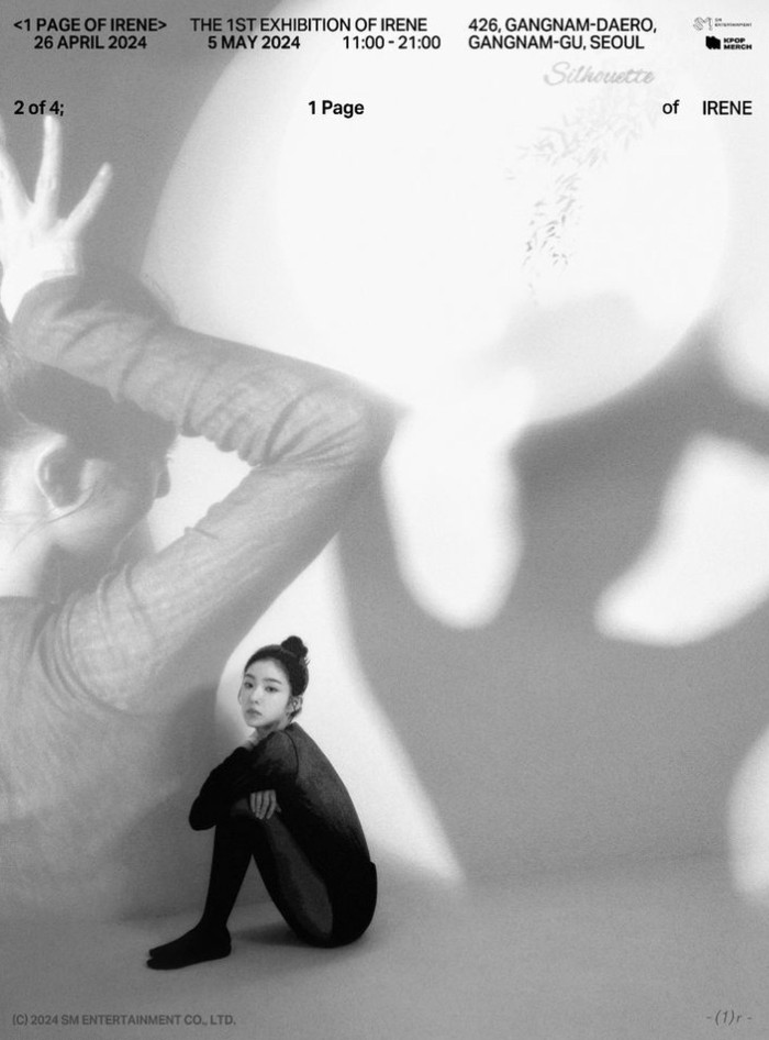 Silhouette of Irene menjadi kumpulan potret Irene dengan konsep monokrom./Foto: instagram.com/redvelvet.smtown