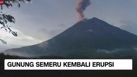 VIDEO: Gunung Semeru Kembali Erupsi