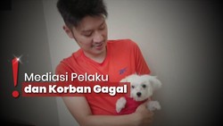 'Viki' Anjing Maltese Mati Dianiaya 4 Remaja, Pemilik Alami Trauma Berat
