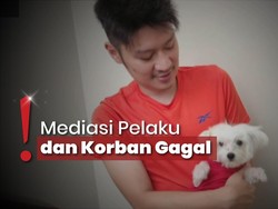 'Viki' Anjing Maltese Mati Dianiaya 4 Remaja, Pemilik Alami Trauma Berat