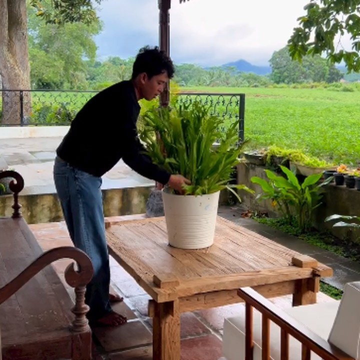 <p>"Gue anaknya tumbuhan banget. Apa-apa tumbuhan, apa-apa tumbuhan. Bahkan, sebelum puasa saja gue harus ngajak <em>Microsorum punctatum</em> (sok latin gak lo) atau kadaka tanah nungguin adzan Maghrib biar tambah greget. Kalau lo, lo ngapain sambil nunggu buka puasa?" ungkap Budi pada akun Instagram-nya. (Foto: Instagram: @budid0remi)</p>