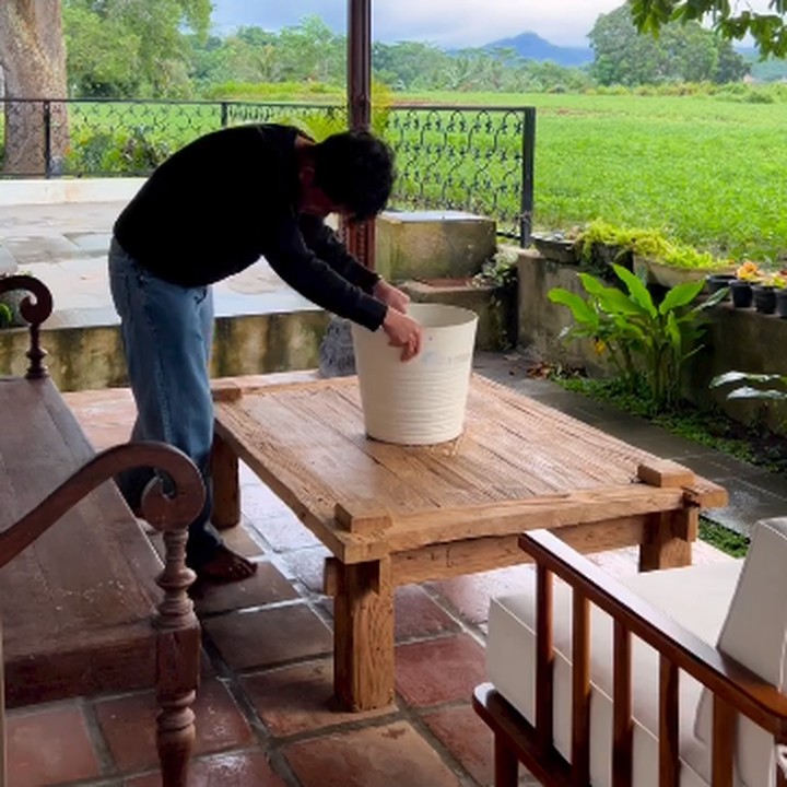 <p>"Gue anaknya tumbuhan banget. Apa-apa tumbuhan, apa-apa tumbuhan. Bahkan, sebelum puasa saja gue harus ngajak Microsorum punctatum (sok latin gak lo) atau kadaka tanah nungguin adzan Maghrib biar tambah greget. Kalau lo, lo ngapain sambil nunggu buka puasa?" ungkap Budi pada akun Instagram-nya. (Foto: Instagram: @budid0remi)<br /><br /><br /></p>