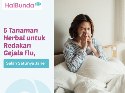 5 Tanaman Herbal untuk Redakan Gejala Flu, Salah Satunya Jahe