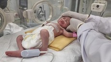 Bayi Palestina Lahir Selamat dari Rahim Ibu yang Tewas Dibunuh Israel