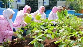 Misi BRInita: Wanita Tangguh, Keluarga Sejahtera, Lingkungan Lestari