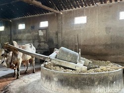Jadi Warisan Budaya Tak Benda, Begini Proses Produksi Mi Lethek di Bantul