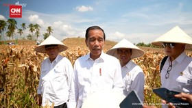 VIDEO: Kata Jokowi Soal Sidang Putusan Sengketa Pilpres Hari Ini