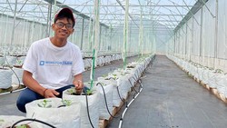 Adi Latif Mashudi Petani Milenial Blora yang Sukses Jadi Juragan Melon Usai Raih Sarjana di Korea