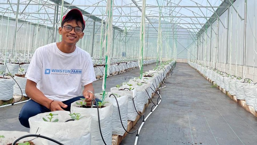 Adi Latif Mashudi Petani melon Adi Latif Mashudi