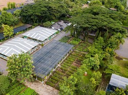 Upaya Bukit Asam Jadi Perusahaan Energi Kelas Dunia yang Peduli Lingkungan