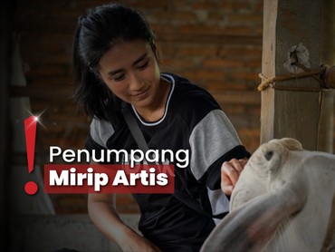 img-title Renatta Moeloek Disebut Mirip Chef Terkenal Hingga Diajak Foto Supir Ojol