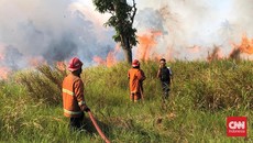 700 Hektare Hutan dan Lahan Terbakar di Natuna Sejak Awal 2024