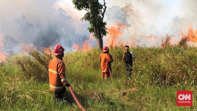 Kebakaran hutan dan lahan (karhutla) kembali melanda Natuna seluas 30 hektare. Sejak Januari 2024, total luas karhutla di Natuna mencapai 700 hektare.