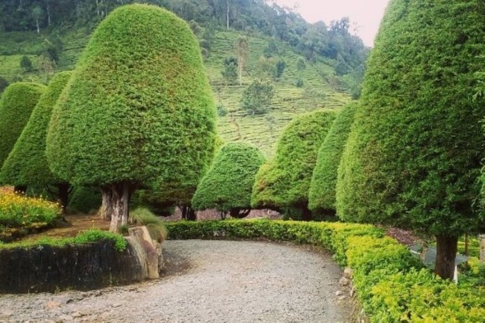 12 Rekomendasi Wisata Alam di Bandung, Yuk Healing Sejenak!