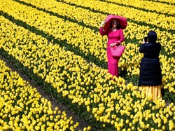 Islandia Lengser, Ini Negara Teraman untuk Liburan Tahun 2026 Islandia Lengser, Ini Negara Teraman untuk Liburan Tahun 2026