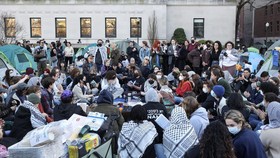 Pakar PBB Buka Suara soal Kampus Skors Mahasiswa Demo Pro-Palestina