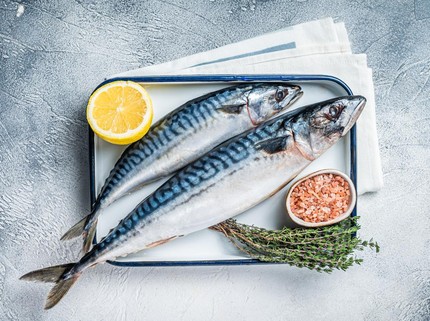 5 Jenis Ikan yang Dipercaya Bisa Bikin Panjang Umur, Salah Satunya Sarden