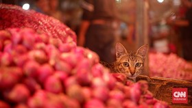 Harga Bawang Merah Naik di 318 Daerah